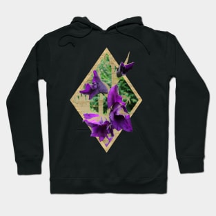 Vintage Gladiole Hoodie